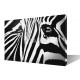 Quadro zebra African Dream
