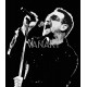Quadro U2 Bono
